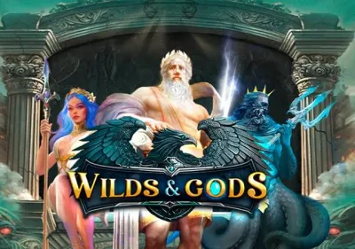 Wilds & Gods game icon